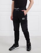 EA7 Pantaloni de trening | Regular Fit