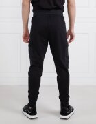 EA7 Pantaloni de trening | Regular Fit
