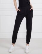 EA7 Pantaloni de trening | Regular Fit