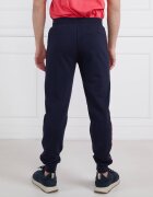 EA7 Pantaloni de trening | Regular Fit