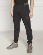 EA7 Pantaloni de trening | Regular Fit