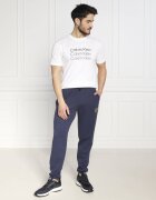 EA7 Pantaloni de trening | Regular Fit