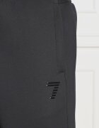 EA7 Pantaloni de trening | Regular Fit