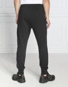EA7 Pantaloni de trening | Regular Fit