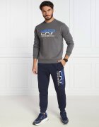 EA7 Pantaloni de trening | Regular Fit
