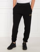 EA7 Pantaloni de trening | Regular Fit
