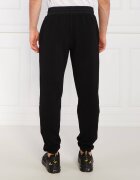 EA7 Pantaloni de trening | Regular Fit