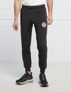 EA7 Pantaloni de trening | Regular Fit