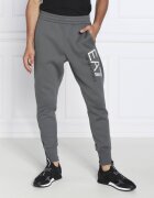 EA7 Pantaloni de trening | Regular Fit