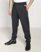 EA7 Pantaloni de trening | Regular Fit