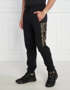 EA7 Pantaloni de trening | Regular Fit