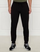 EA7 Pantaloni de trening | Regular Fit