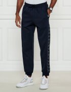 EA7 Pantaloni de trening | Regular Fit
