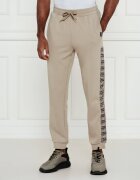 EA7 Pantaloni de trening | Regular Fit