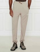 EA7 Pantaloni de trening | Regular Fit