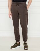 EA7 Pantaloni de trening | Regular Fit