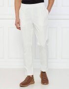 EA7 Pantaloni de trening | Regular Fit