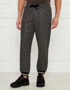 EA7 Pantaloni de trening | Regular Fit
