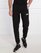 EA7 Pantaloni de trening | Regular Fit