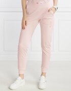 EA7 Pantaloni de trening | Regular Fit