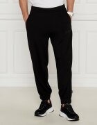 EA7 Pantaloni de trening | Regular Fit