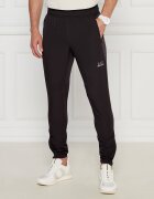 EA7 Pantaloni de trening | Regular Fit