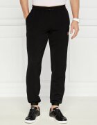 EA7 Pantaloni de trening | Regular Fit