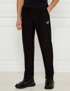 EA7 Pantaloni de trening | Regular Fit