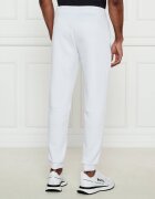 EA7 Pantaloni de trening | Regular Fit