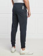 EA7 Pantaloni de trening | Regular Fit