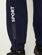 EA7 Pantaloni de trening | regular fit