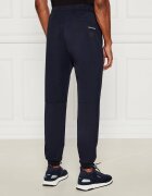 EA7 Pantaloni de trening | Regular Fit