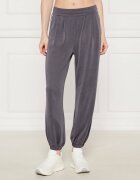 EA7 Pantaloni de trening | Regular Fit
