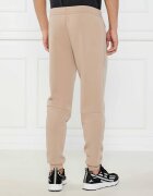 EA7 Pantaloni de trening | Regular Fit
