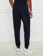 EA7 Pantaloni de trening | Regular Fit