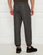 EA7 Pantaloni de trening | Regular Fit