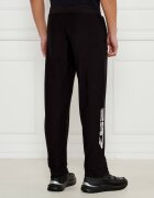 EA7 Pantaloni de trening | Regular Fit