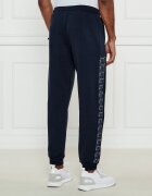 EA7 Pantaloni de trening | Regular Fit