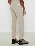 EA7 Pantaloni de trening | Regular Fit