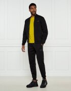 EA7 Pantaloni de trening | Regular Fit