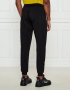 EA7 Pantaloni de trening | Regular Fit