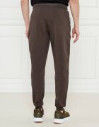 EA7 Pantaloni de trening | Regular Fit