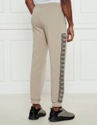 EA7 Pantaloni de trening | Regular Fit