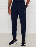 EA7 Pantaloni de trening | Regular Fit