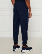 EA7 Pantaloni de trening | Regular Fit