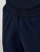 EA7 Pantaloni de trening | Regular Fit