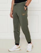 EA7 Pantaloni de trening | Regular Fit