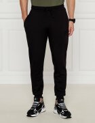 EA7 Pantaloni de trening | Regular Fit