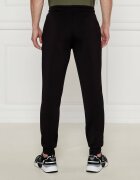 EA7 Pantaloni de trening | Regular Fit