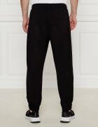 EA7 Pantaloni de trening | Regular Fit